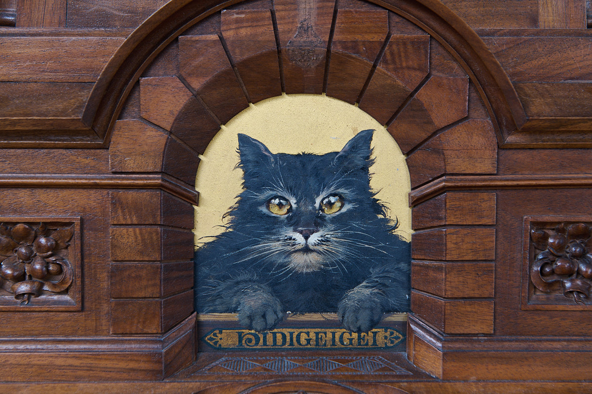 Porträt einer schwarzen Katze mit leuchtenden Augen, umrahmt von einem kunstvollen Holzrahmen.