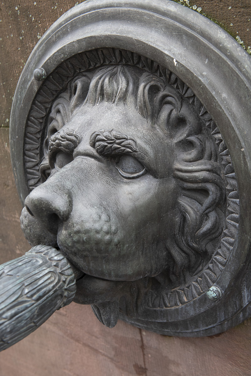 Bronzeskulptur eines Löwenkopfes mit detailliertem Haar, der einen Griff im Maul hält.